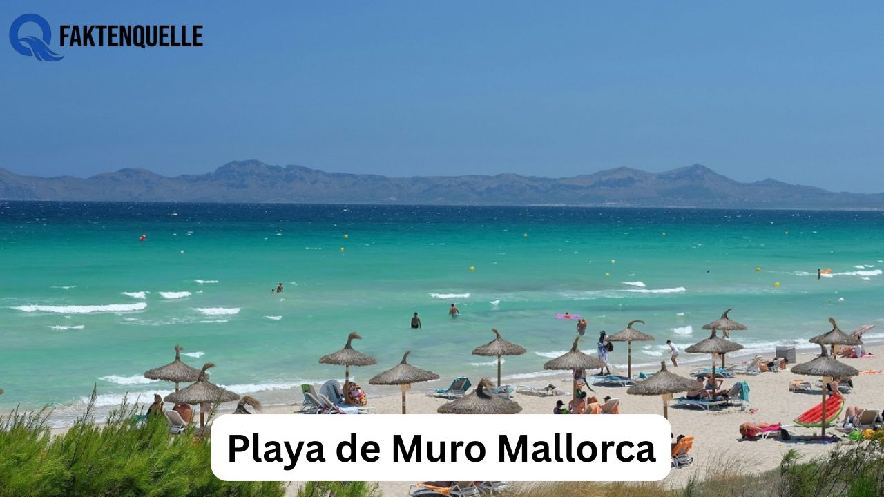 cartagena de indias Playa de Muro Mallorca