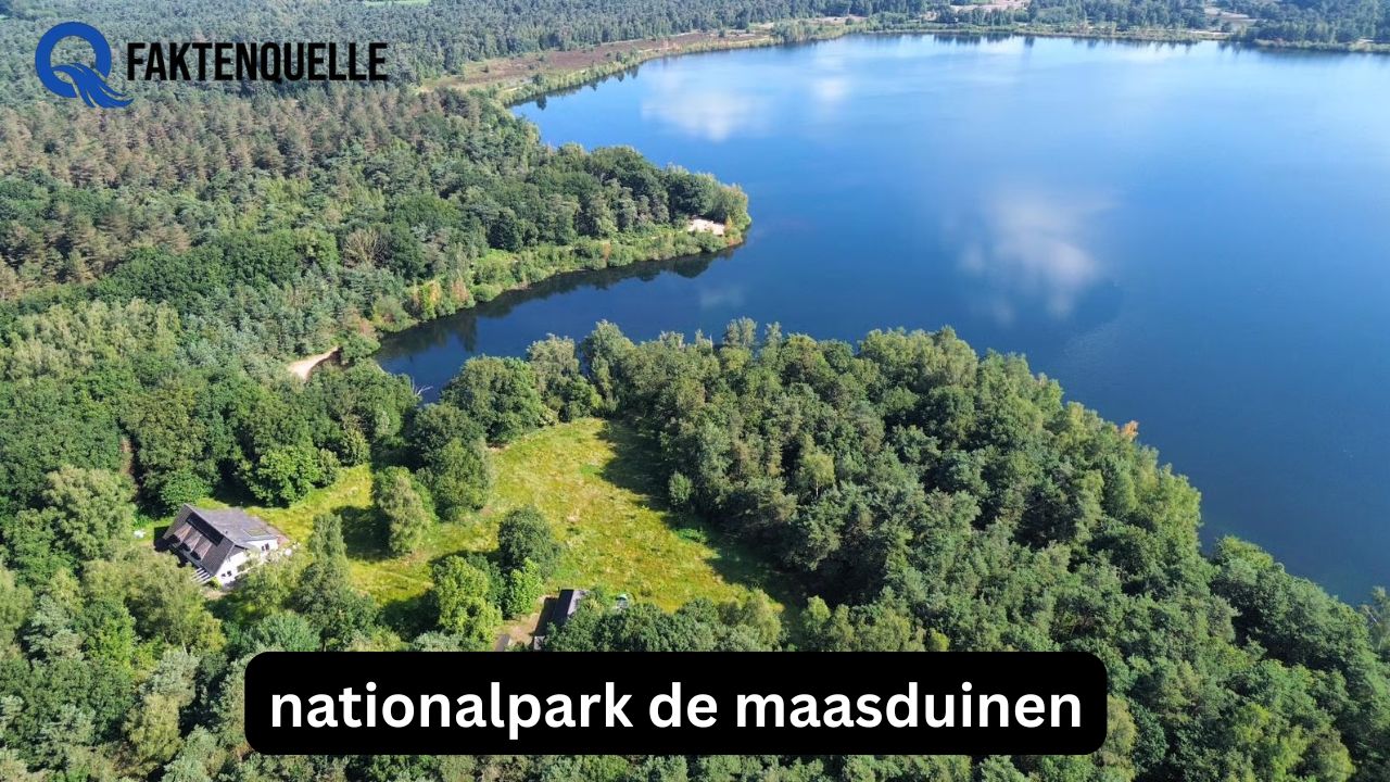 Nationalpark de Maasduinen: Natur erleben zwischen Dünen und Seen