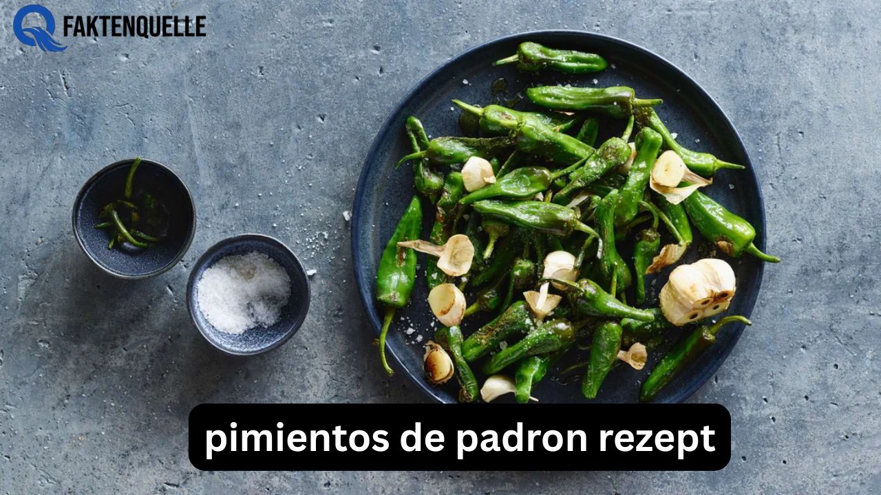 Pimientos de Padron Rezept: So gelingen die spanischen Tapas perfekt